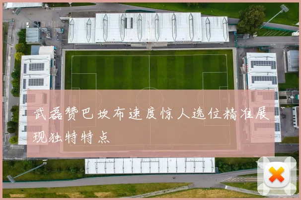武磊赞巴坎布速度惊人选位精准展现独特特点